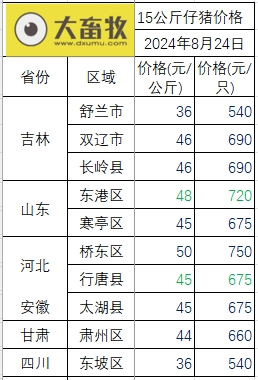 2024.08.24今日猪价——出现全面下跌，跌幅有点大