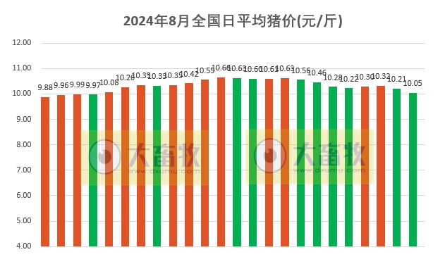 2024.08.24今日猪价——出现全面下跌，跌幅有点大