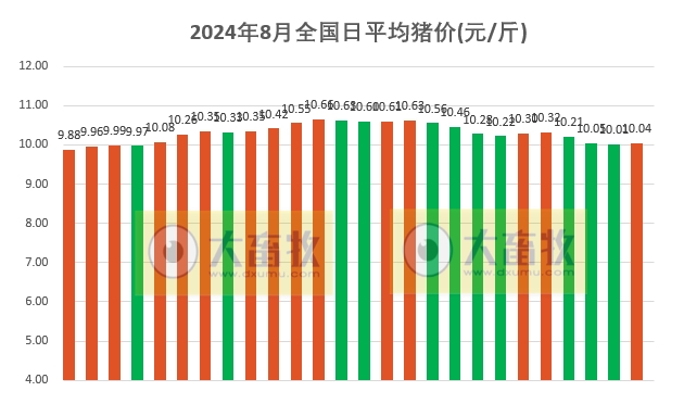 2024.08.26今日猪价——多地出现上涨，守住10元大关