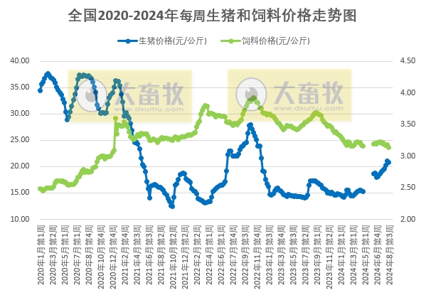 发改委:受学校开学提振,需求预期增加,但增量有限,供大于求局面延续,预计生猪周均价环比或继续下滑——2024年8月第3周全国猪粮比情况