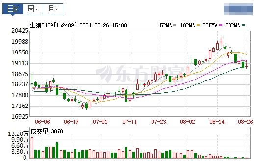 2024.08.27今日猪价——大多数省份转跌,跌破10元大关