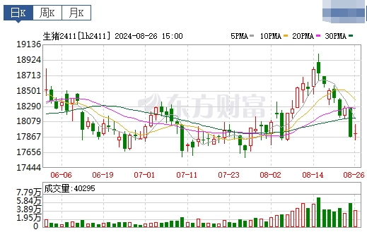 2024.08.27今日猪价——大多数省份转跌,跌破10元大关