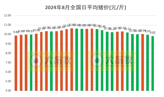 2024.08.28今日猪价——全面下跌,一片绿油油,跌至8月以来最低