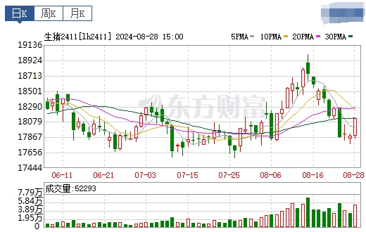 2024.08.29今日猪价——继续全面下跌，有22省全面跌破10元大关