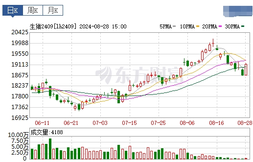2024.08.29今日猪价——继续全面下跌，有22省全面跌破10元大关