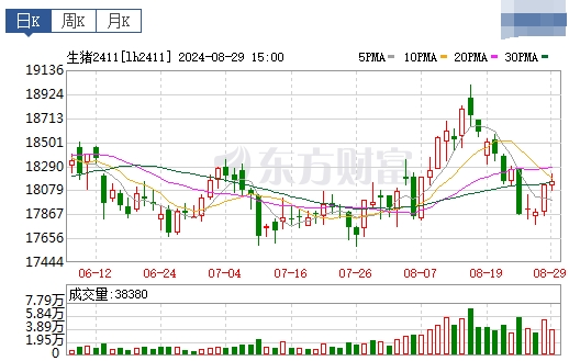 2024.08.30今日猪价——多地止跌上涨