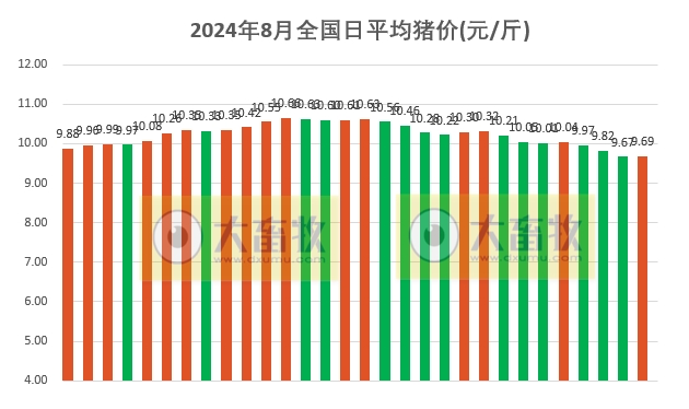 2024.08.30今日猪价——多地止跌上涨