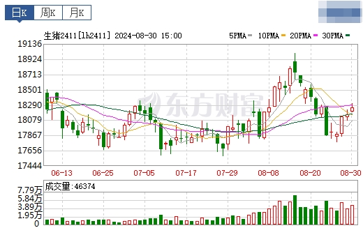 2024.08.31今日猪价——绝大多数省份出现上涨，没有下跌省份