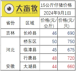 2024.09.01今日猪价——一路飘红，有19省突破10元