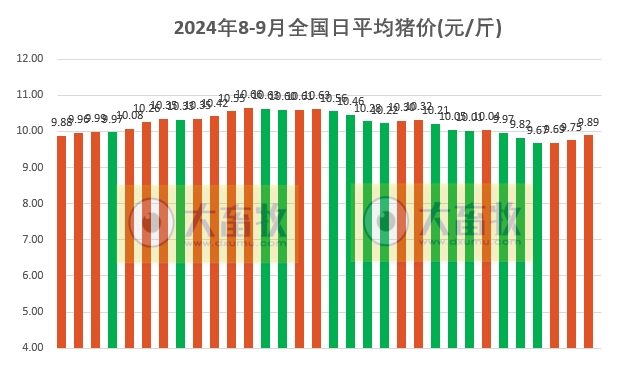 2024.09.01今日猪价——一路飘红，有19省突破10元