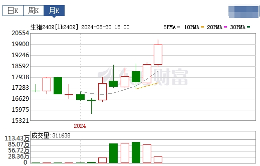 2024.09.01今日猪价——一路飘红，有19省突破10元