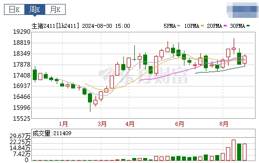 2024.09.01今日猪价——一路飘红，有19省突破10元