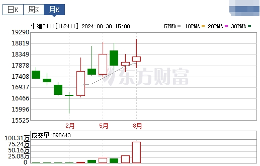 2024.09.01今日猪价——一路飘红，有19省突破10元