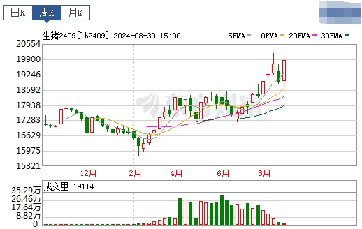 2024.09.01今日猪价——一路飘红，有19省突破10元
