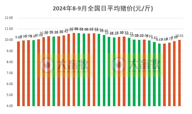 2024.09.02今日猪价——连续4天上涨,再次突破10元大关
