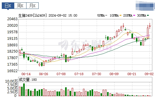 2024.09.03今日猪价——止涨转跌