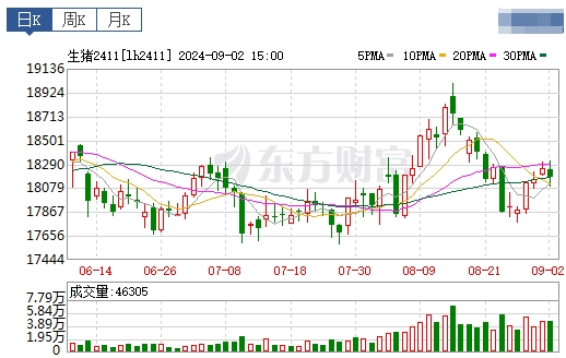 2024.09.03今日猪价——止涨转跌