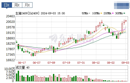 2024.09.04今日猪价——绝大多数出现下跌，没有上涨省份