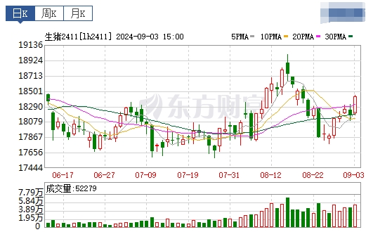 2024.09.04今日猪价——绝大多数出现下跌，没有上涨省份