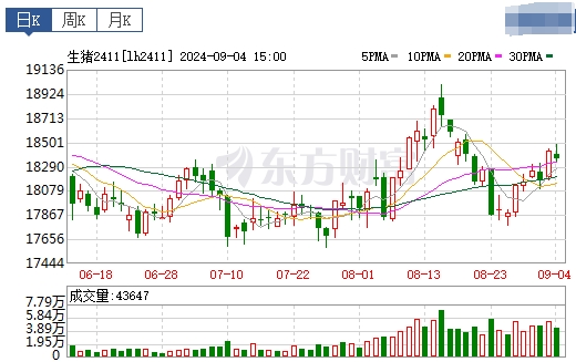 2024.09.05今日猪价——绝大多数止跌上涨