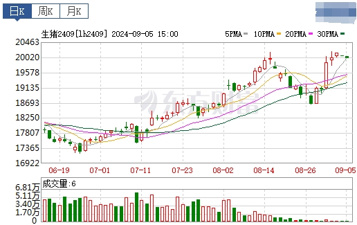 2024.09.06今日猪价——东北连续2天全面上涨