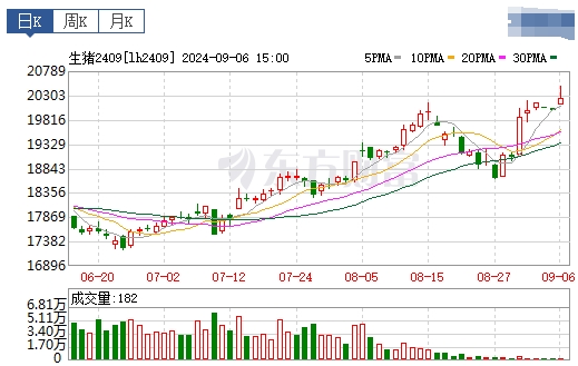 2024.09.07今日猪价——全国以稳为主