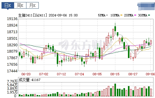 2024.09.07今日猪价——全国以稳为主