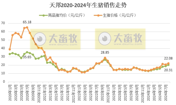 新希望、天邦和大北农2024年8月生猪销售情况