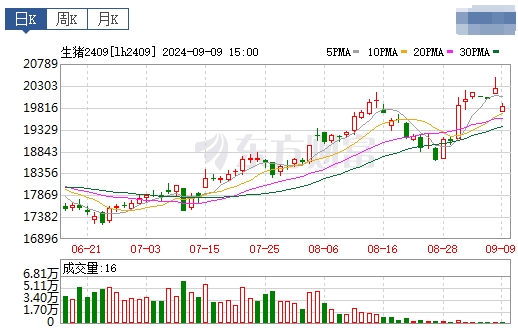 2024.09.10猪价行情——一路飘绿