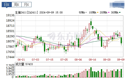 2024.09.10猪价行情——一路飘绿