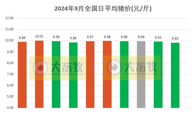 2024.09.10猪价行情——一路飘绿