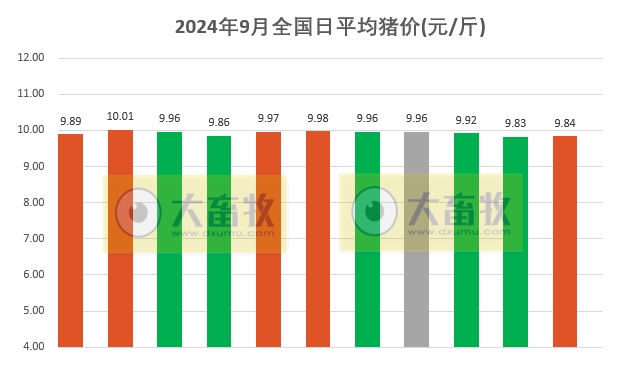2024.09.11今日猪价行情——涨跌互现