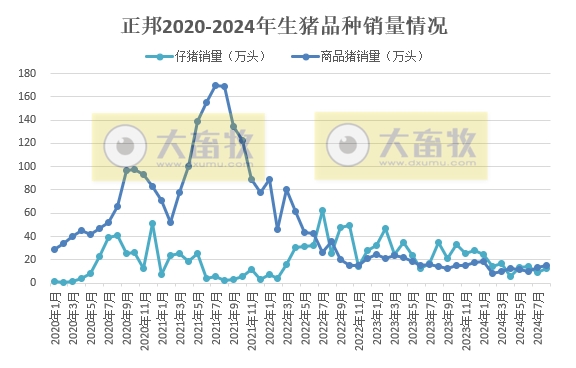 唐人神、中粮、正邦和天康2024年8月生猪销售情况