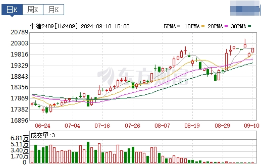 2024.09.11今日猪价行情——涨跌互现