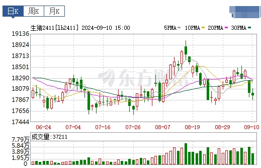 2024.09.11今日猪价行情——涨跌互现