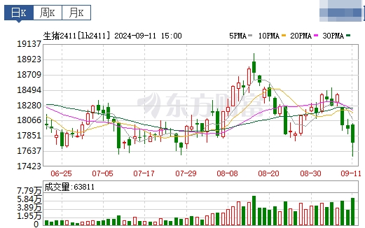2024.09.12今日猪价行情——上涨省份增多