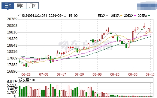 2024.09.12今日猪价行情——上涨省份增多