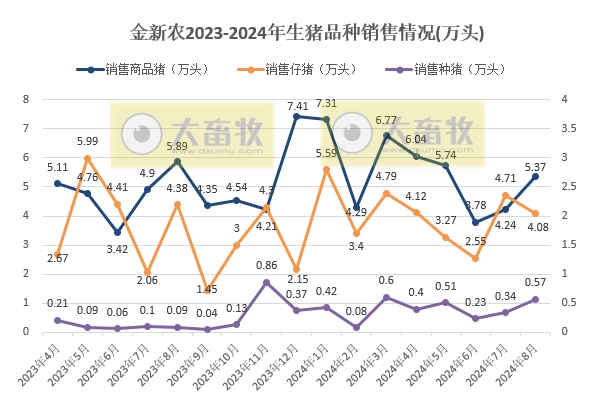 金新农、东瑞和正虹2024年8月生猪销售情况