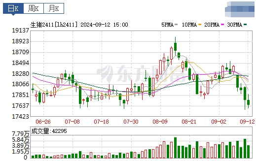 2024.09.13今日猪价行情——大多数出现下跌