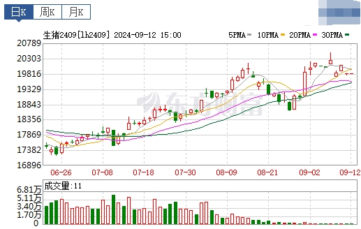2024.09.13今日猪价行情——大多数出现下跌