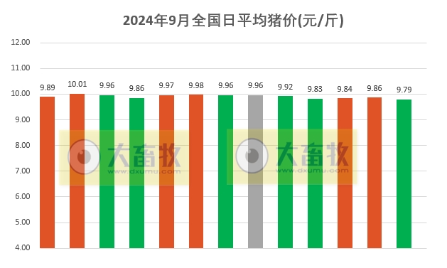 2024.09.13今日猪价行情——大多数出现下跌
