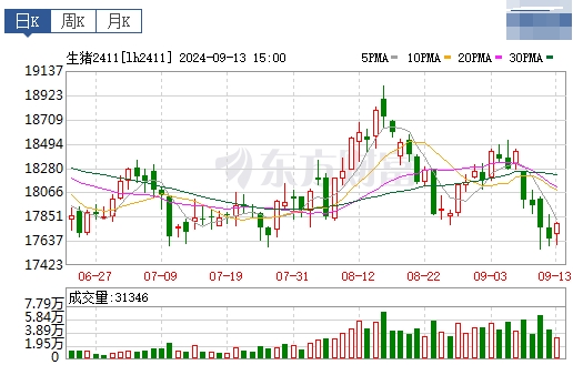 2024.09.14猪价行情——一路飘绿，跌破前期低点