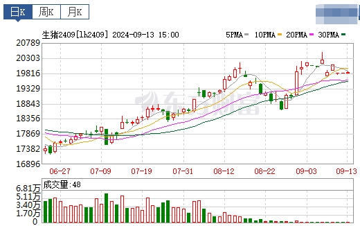 2024.09.14猪价行情——一路飘绿，跌破前期低点