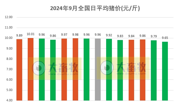 2024.09.14猪价行情——一路飘绿，跌破前期低点
