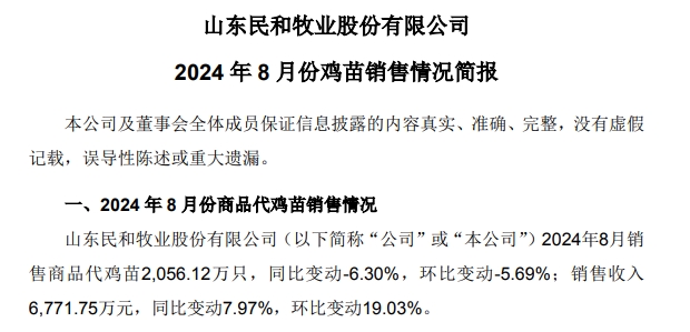 益生、民和和晓鸣2024年8月鸡苗销售情况
