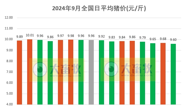 2024.09.16猪价行情——一路飘绿