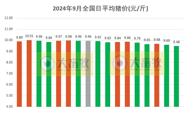 2024.09.17猪价行情——绿油油,跌至近2个月最低价