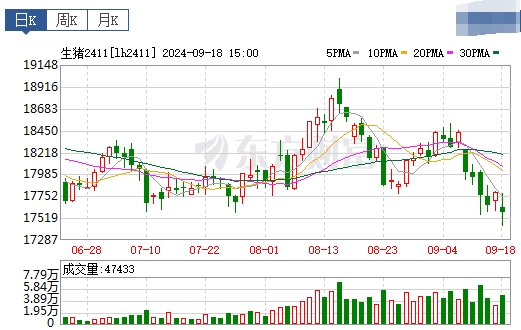 2024.09.19猪价行情——稳中带涨,东北全面上涨