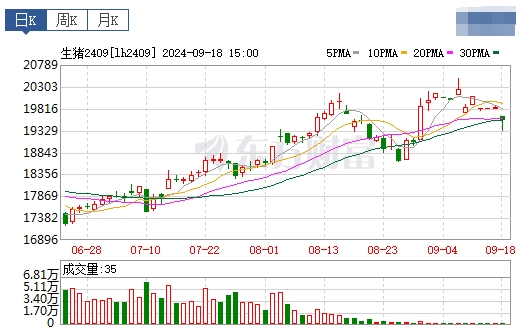 2024.09.19猪价行情——稳中带涨，东北全面上涨