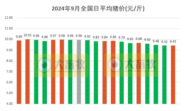 2024.09.19猪价行情——稳中带涨,东北全面上涨